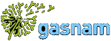 Gasnam
